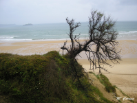 Afec3214f7c6bafa93409e796315bf53