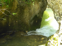 B09d8876155820a3952acfa7f50d20ef