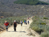 B0a1c32ef12c653b8740ca8f00633a66