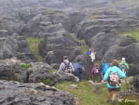 B26e1088e94fc23339b00da65dff2c98