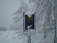 B375947799f334b40b889108c4e9958f