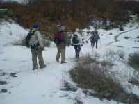 B6241d875d2fffd6015f835187dea44a