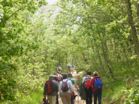 B7316816ecfb3cd0d8fb5777ce4017a5