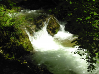 B763c15f08e4b86ca52dcb92fd46d6e5