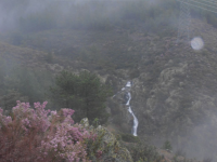 B7757b4ee2c6d35bc17c43ff76692f22