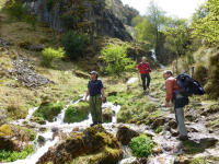 B79f2bfb6d4db92f874e229b7de9e087