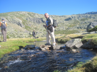 B8940b2eff62eabc526ea2fb7c62dd32