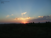 B8bafcf3e1bae0e227211cc286d4545e