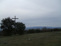 B8cef45524e912c268283febaafbf704