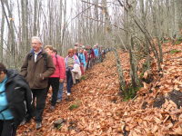 Bb7c273cf1bcb7f364d70969b285d32a