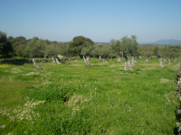 Bcc0374cc4b05eb991c6b754f2873467