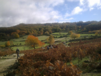 Bd0f5277faf60a44d7174a65538863c4