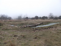 Bd13cadf1e90fcd0ccbf7ff1798113b8