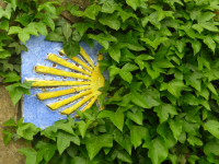 Bdd38a80cfa5c2cda6a1e0af99f0ed69