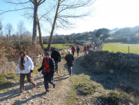 Be37b405da06717bbd8ba3da54e8e5dc