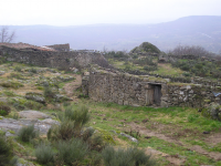 Be449a59996cc11070d9707043790b5f