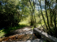 Be75e0d5f21ade8e2dcf1563cbf3f3db