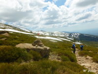 Bf992fccaae9d65dd4cf5b01a8c8cf58