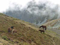 C00ffcefd26d8509420494645da8d500