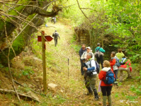 C19df76dcd88098880b73ae3b4bf8316