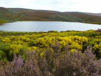 C21ba74d1fa3b4ee09f2dd31ab645c71