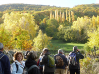 C26329c9849232a69a5e87475f7192ab