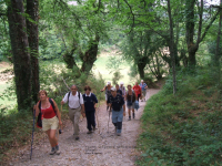 C28a32d2e05dd457bef5ad2fb29bf685