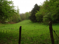 C47af31e89fe72ad53355743b932f980