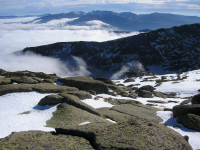 C4cb3254358f4acb2c89d2f7924a90d9