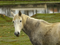 C5002a4adee1108593adce773c170b19