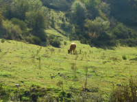 C56344c20860279827574748d575f964