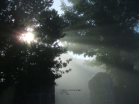 C6f10606b68c5f46cbadf9131184144f