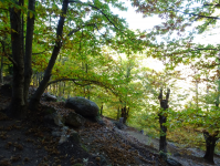 C7690270e8fff66652db392502460c61