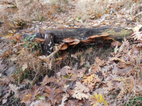 C844d14d1a83b4a04ea2e3593c957a75