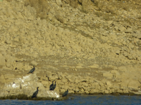 C8514f1811ef11ff8ad876ee90853e4d