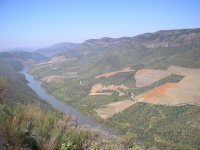 C8627ee8d809ee9693554e6d4c7fcb6a