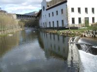 C884a731ec782559ffb7415e9a1f2778