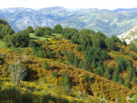 C8fd23ba8c3d89470da682030cf74ace