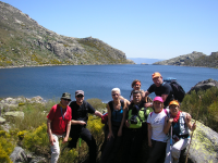 C92b3d415df318bc60558137e7cf5702