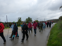 C9bb75f9ca87b0c52c41ddcd55589b6e