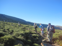 Cb5a98443b0d83bdea3b92fe9c53cde7