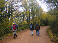 Cbac4069eed15b7a14d0a16acaace5b9