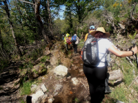 Cc0a7d5cce11ddfd334978f8512d0d27