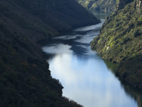 Cc20bf2bb424bfe8662beaf1845b5604