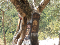 Cc37c8fc21ae40479b0d08edf051cb6f