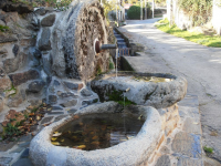 Cc6bed60d242174febb664087e621399