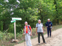 Cc77fe54abf9fa1c966f9ec18db73e3d