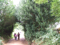 Cf7baa235cf4396884eefdba6998586d