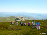 D02cf2c64a522475b9308d2468e9351a