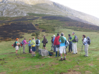 D07a9b5fc71f8667101da7bfa4246f24